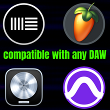 Load image into Gallery viewer, Crybaby Cash Vocal Presets
